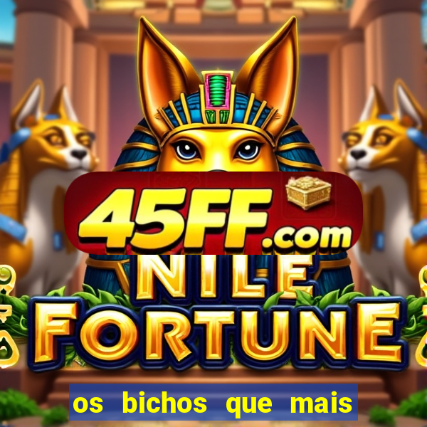 os bichos que mais saem na loteria federal